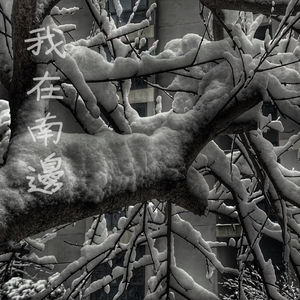 真爱大作战免费观看十八岁高清版
